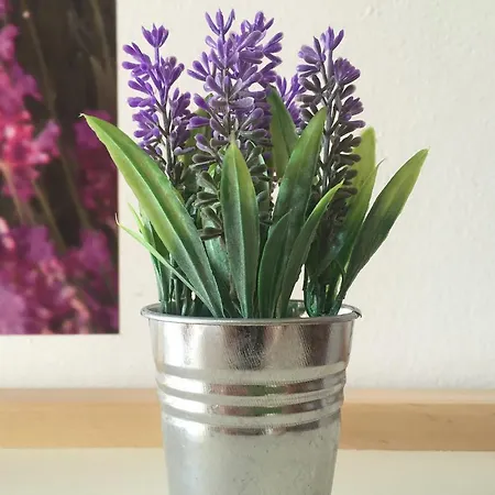 Lejlighed Lavanda Studio Vicenza